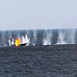 Portsmouth-Based Warship Destroys Pirate Boats in Indian Ocean