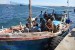 Sri Lanka Navy Arrests 76 Persons Bound for Australia